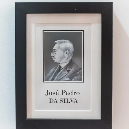 Privilege Alianca Da Silva In The Heart Of Διαμέρισμα Φάρο