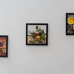 Privilege Alianca Da Silva In The Heart Of Διαμέρισμα Φάρο